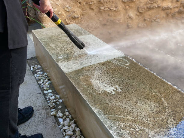 Best Sidewalk Pressure Washing  in Tchula, MS