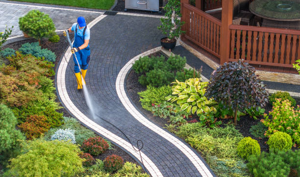 Best Best Pressure Washing Companies  in Tchula, MS