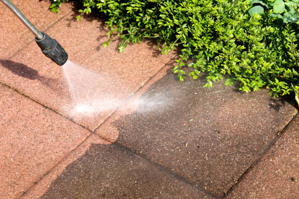 Best Residential Pressure Washing Services  in Tchula, MS