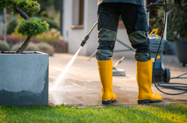 Best Pressure Washing Company Near Me  in Tchula, MS